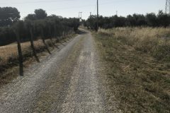 Abruzzo-Trail-3