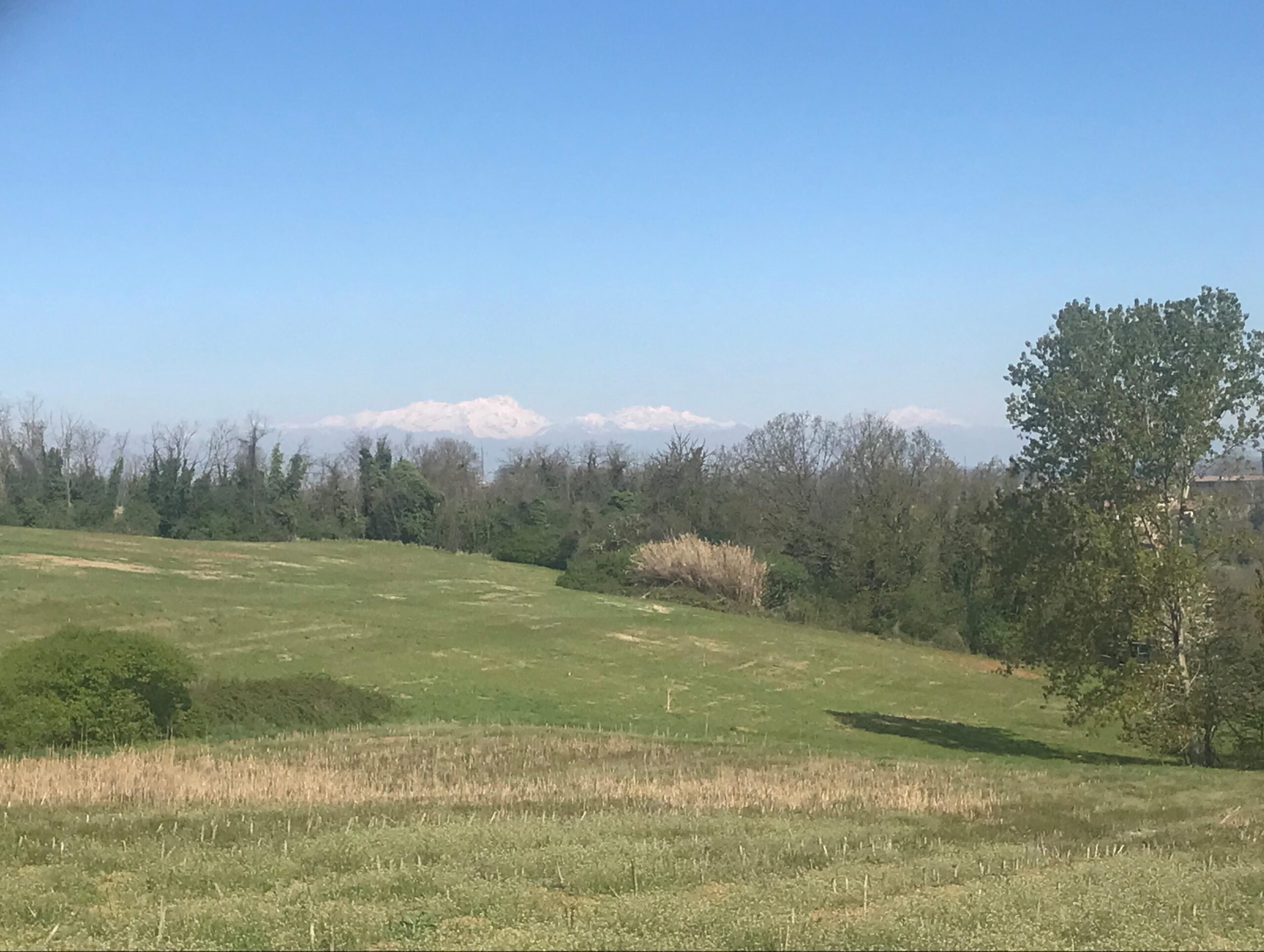 Le Alpi innevate visibili dal Monferrato
