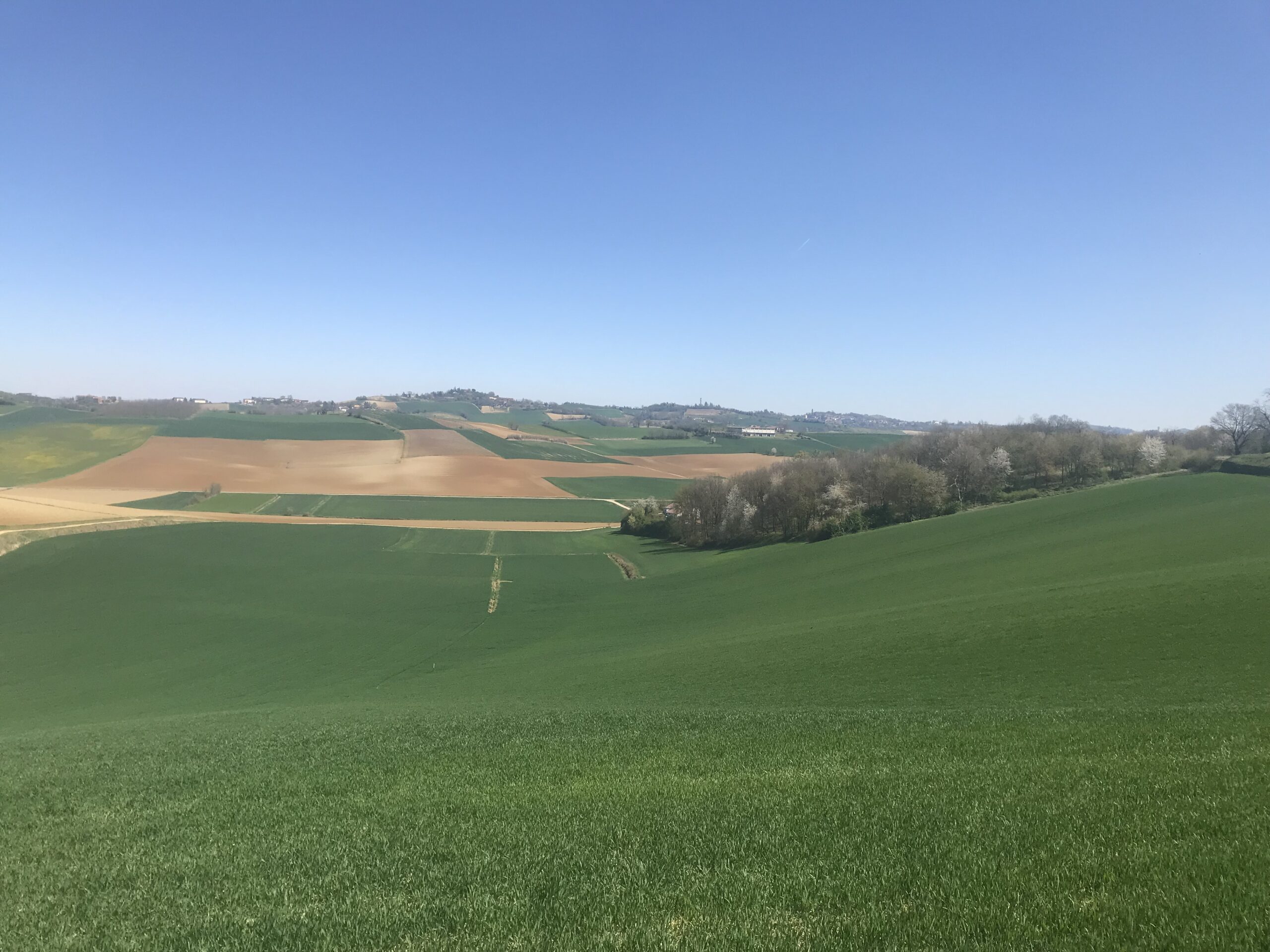 Le dolci colline del Monferrato