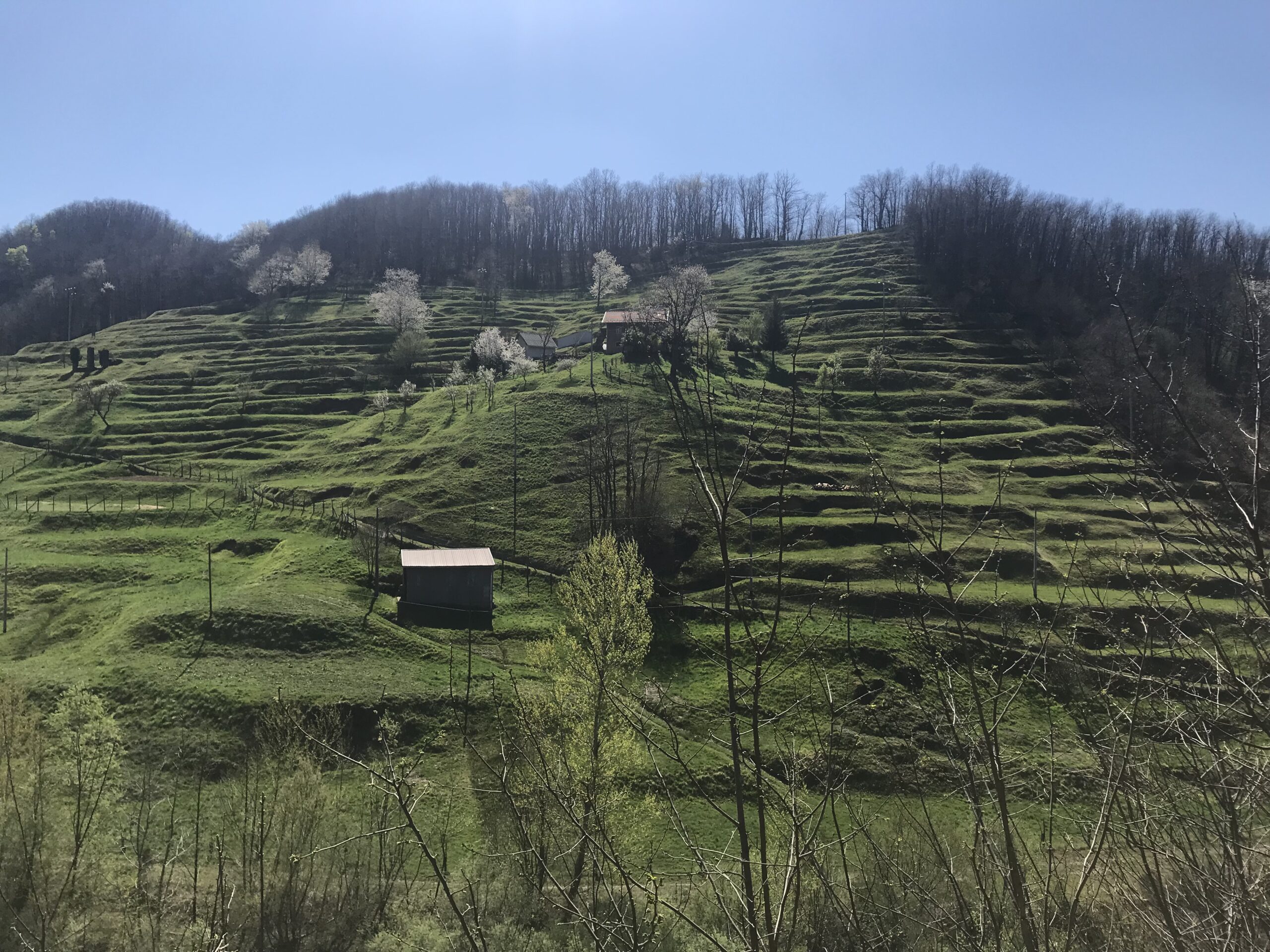 La campagna verdeggiante a Campo Ligure