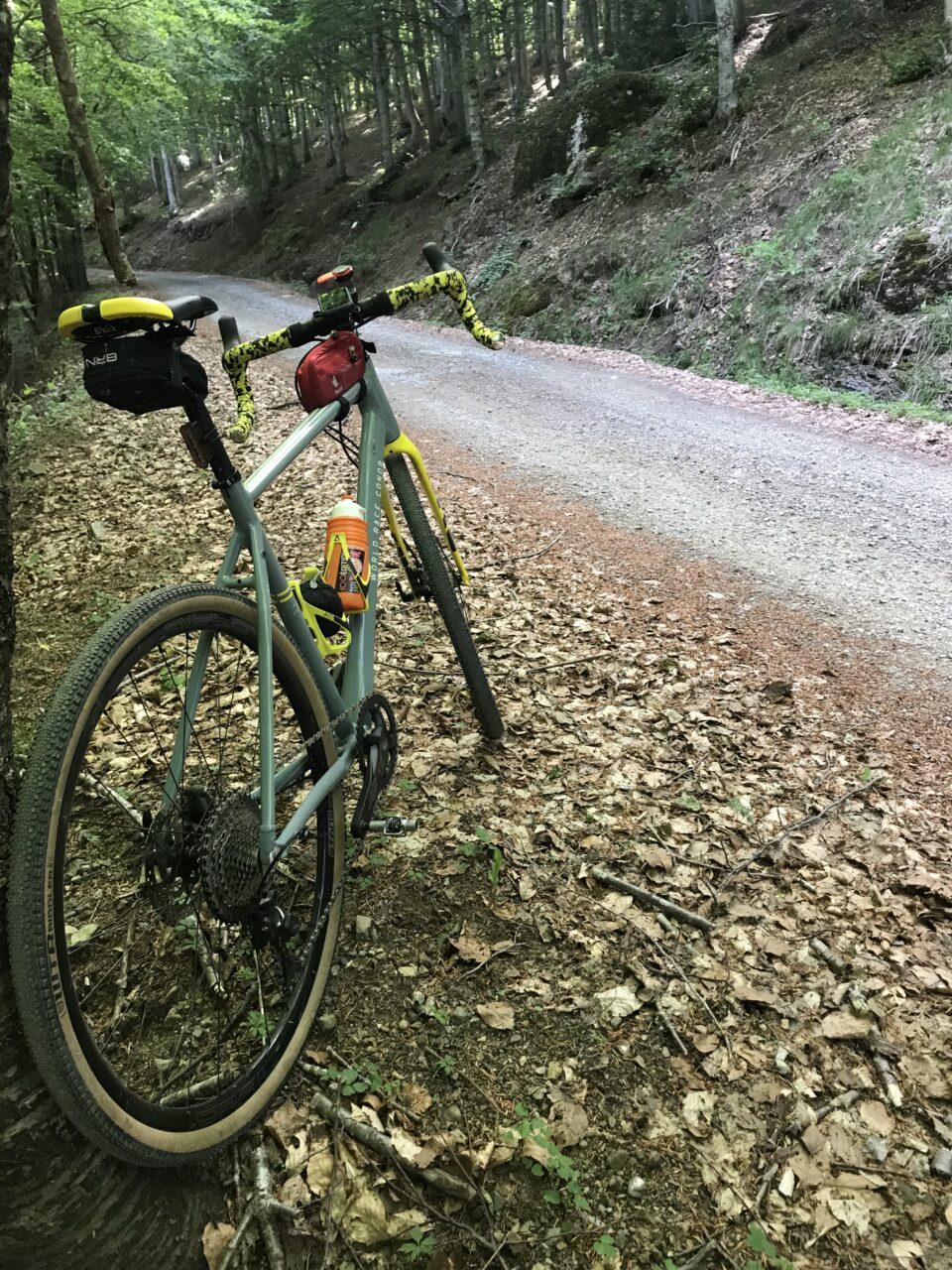 La bici gravel sullo sterrato della foresta del Monte Penna